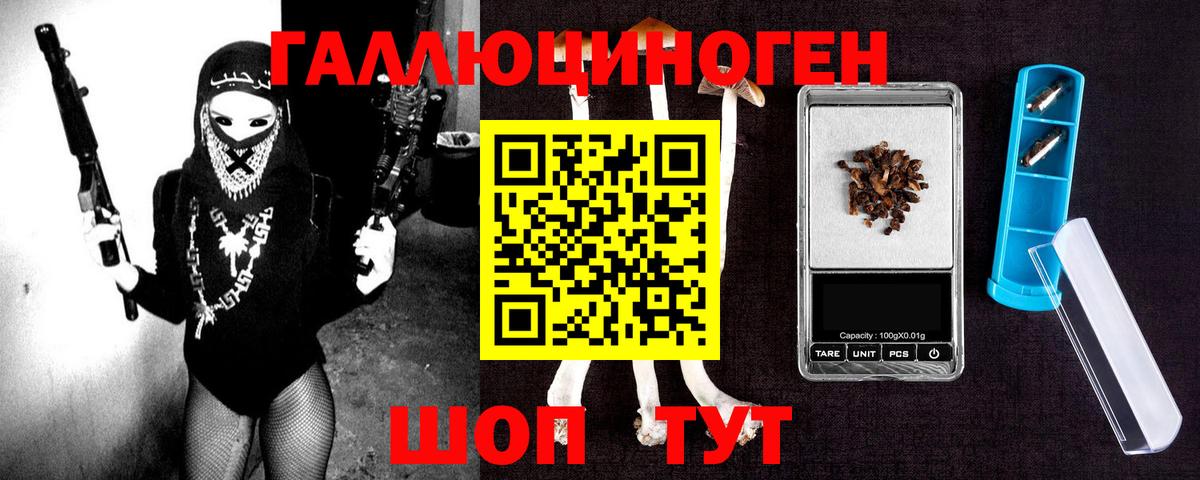 Псилоцибиновые грибы мицелий Сальск