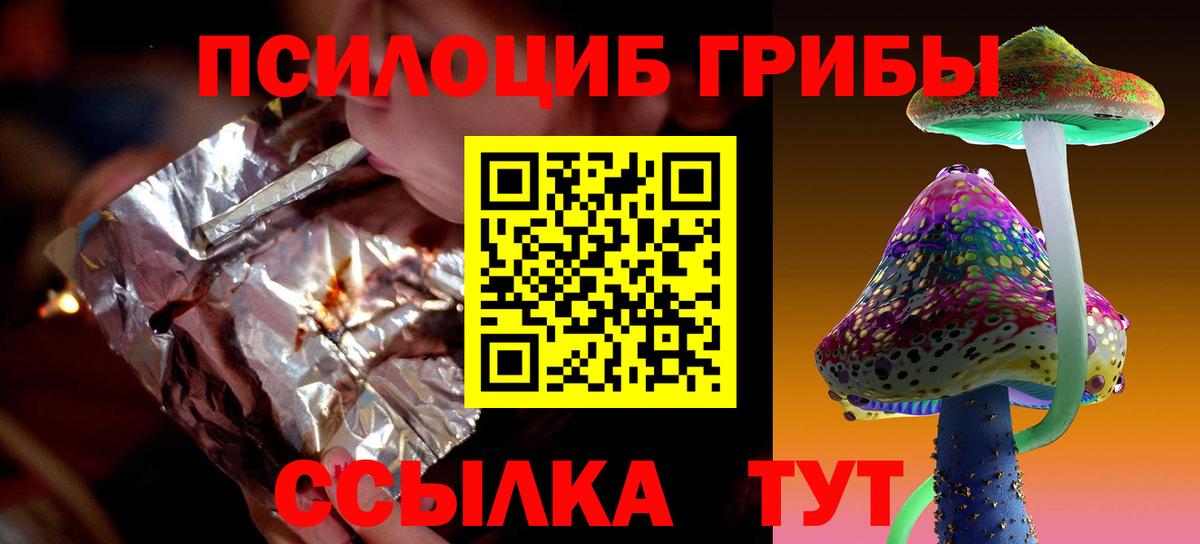 Сальск  где найти наркотики  Вход с VPN  Псилоцибиновые грибы GOLDEN TEACHER 