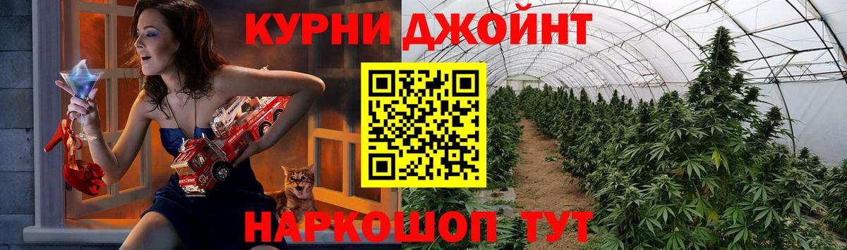 Сальск  Конопля AK-47  Вход с VPN  Конопля Ganja 